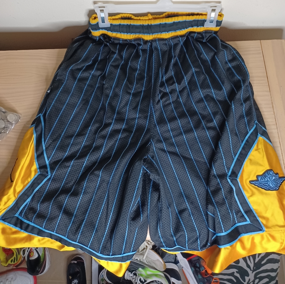 Jordan 20th Anniversary Basketball shorts